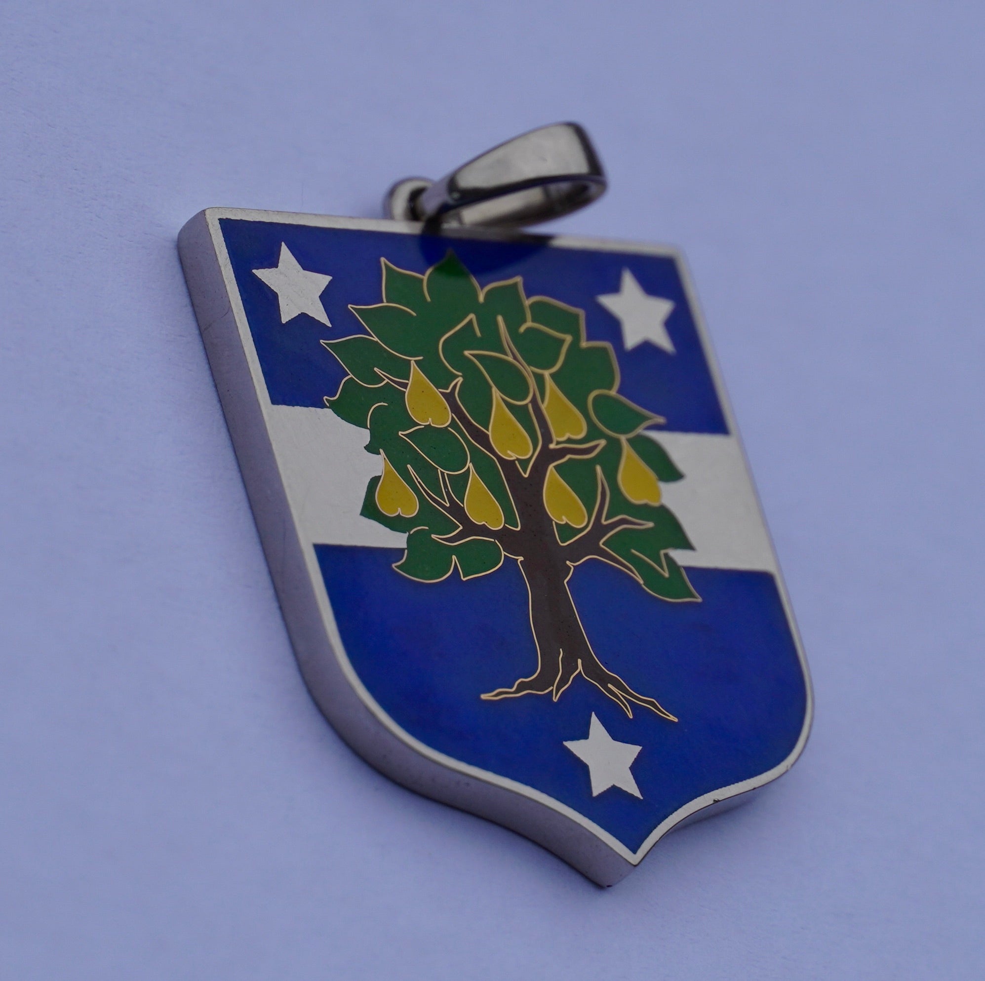 blason en or blanc et émail